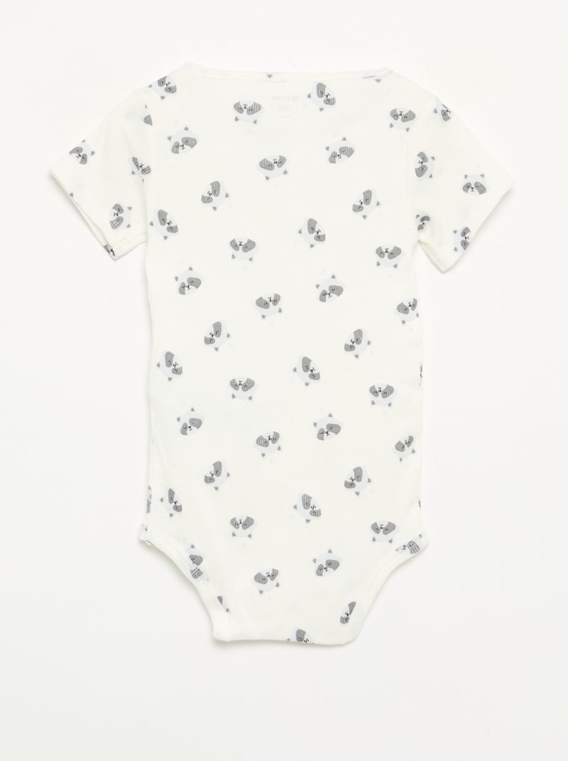 2-pack of snap-button round-neck bodysuits White - Kiabi