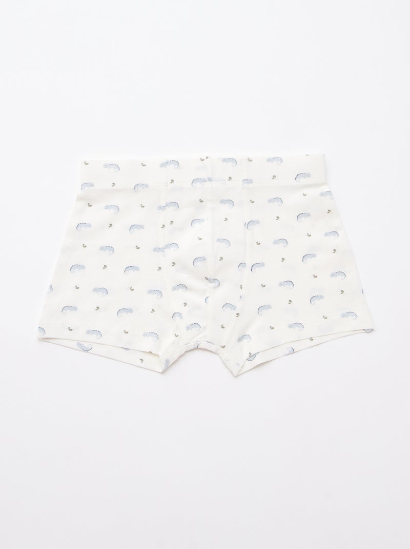 5er-Pack gemusterte Boxershorts Blau - Kiabi