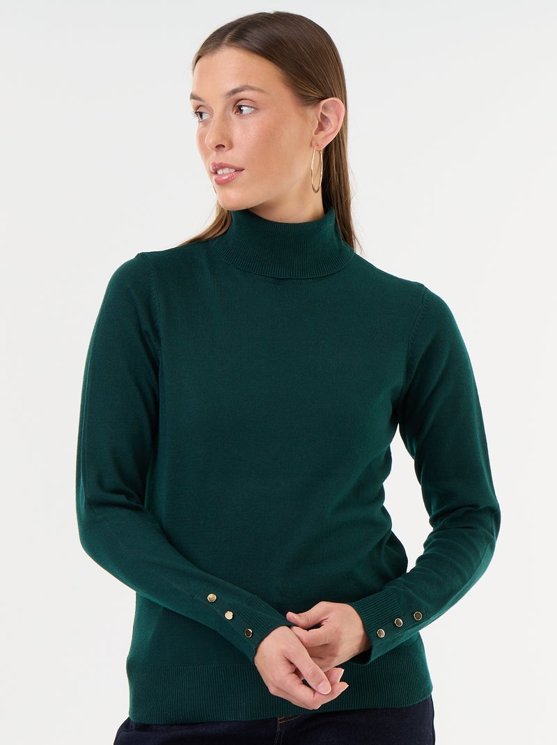 Feinstrick-Rollkragenpullover Vert - Kiabi