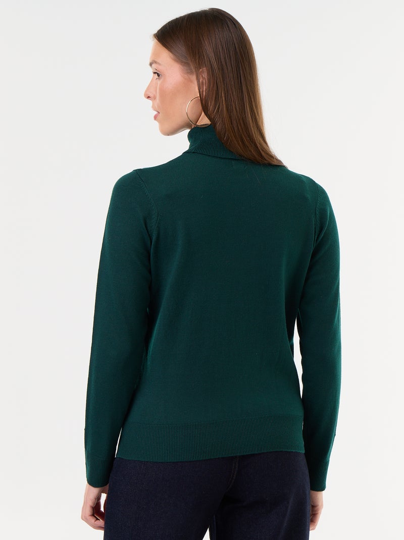 Fine Gauge Turtleneck Sweater Green - Kiabi