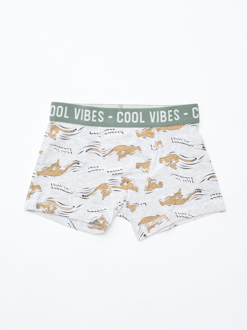 Lot de 3 boxers stretch Gris/vert - Kiabi