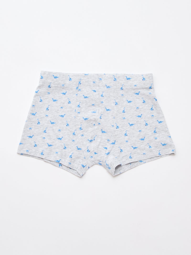 Lot de 5 boxers fantaisies Bleu - Kiabi