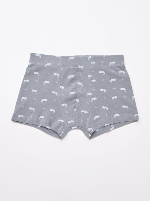 Lot de 5 boxers fantaisies - Kiabi