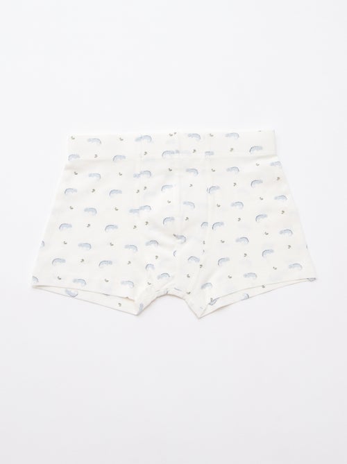 Lot de 5 boxers fantaisies - Kiabi