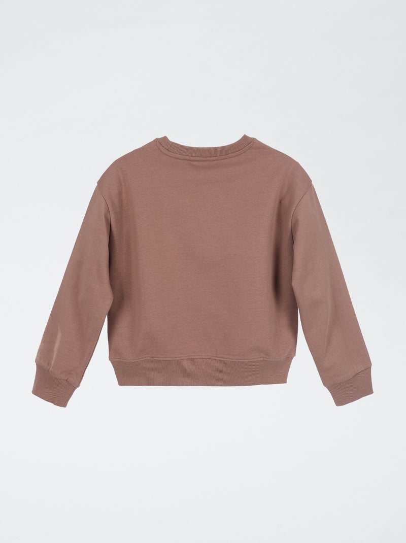 Pat' Patrouille Langarm-Sweatshirt Braun - Kiabi