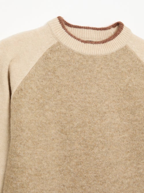 Pullover mit Kontrastärmeln - Kiabi