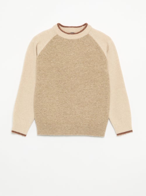 Sweater with contrasting sleeves - Kiabi