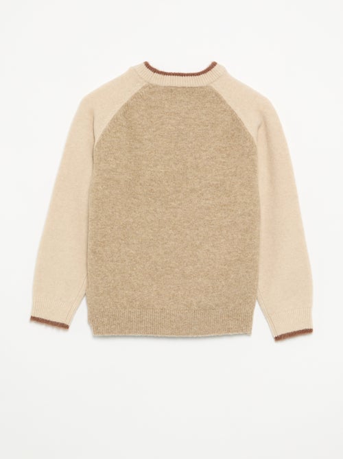 Sweater with contrasting sleeves - Kiabi