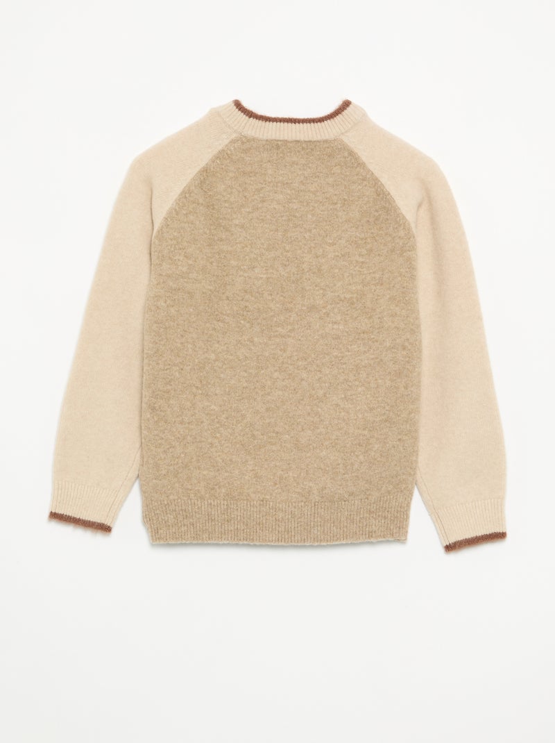 Sweater with contrasting sleeves Beige - Kiabi