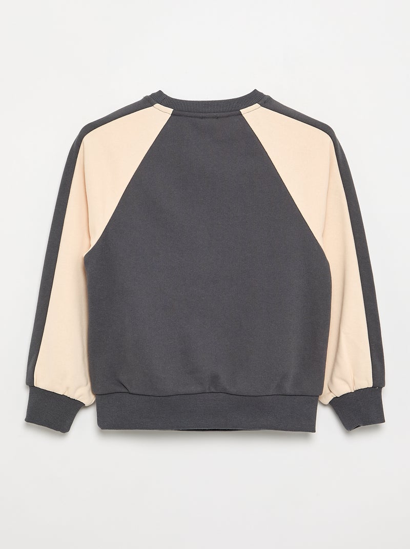 Zweifarbiges Sweatshirt mit Print Grau - Kiabi